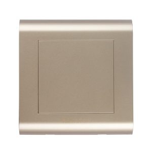 Kevilton - Modular Gold Blank Plate