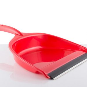 Feather - Dustpan
