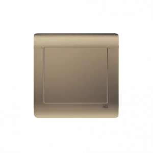 ACL - Blank Plate Bronze