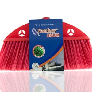 Feather - Indoor Broom Kingfisher