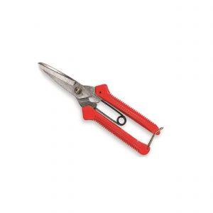 Secateur - Asian Style