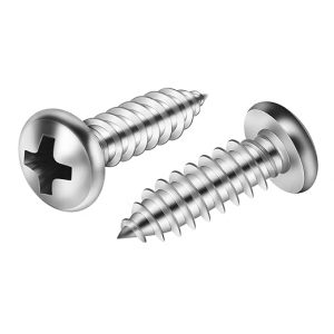 Self Tapping Screw 2 Ph