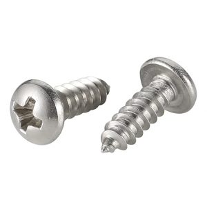 Self Tapping Screw 1 Ph