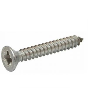 Self Tapping Screw 2 Csk