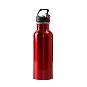 Steel Water Bottle - 500Ml