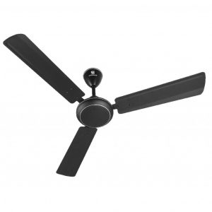 Standard - Ceiling Fan