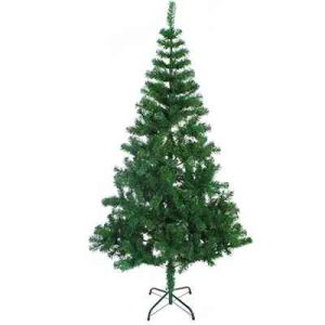 Christmas Tree - Single Bush - 5 Feet