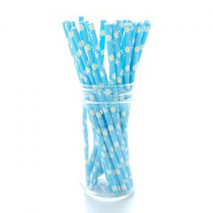 25 Paper Drinking Straws