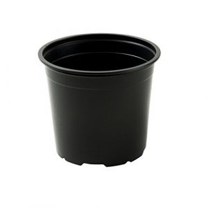 Plastic Pot
