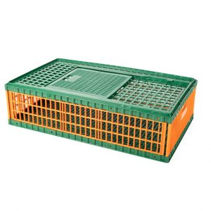 Aiko - Crescent Torch Rr753