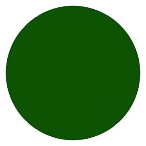 Nippon - Floor Paint Q/D Green - 1 Liters