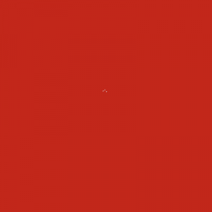 Nippon - Water Base 1K Floor Paint Red - 1L