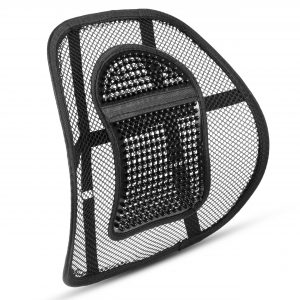 Mesh Back Support