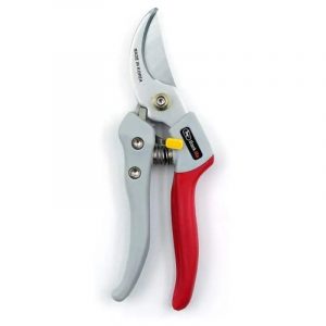 Pruning Shear